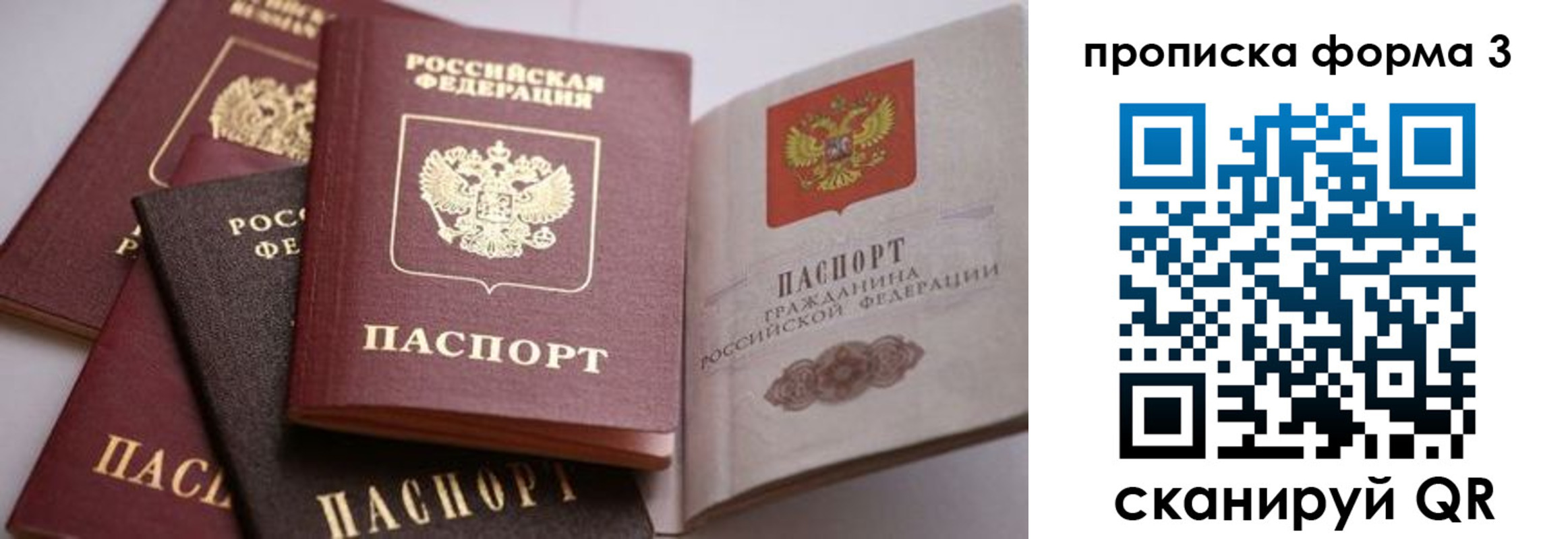 прописка для школы в Данилове